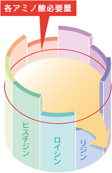 アミノ酸スコアイメージ