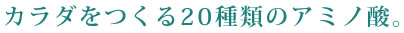 カラダをつくる20種類のアミノ酸。